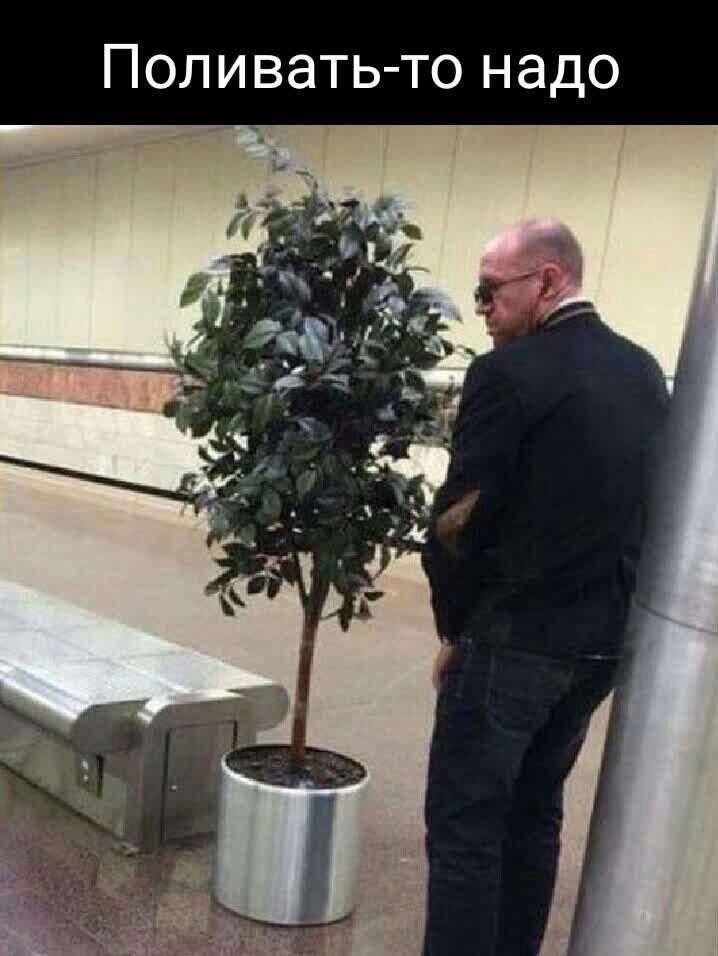 Поливатьто надо