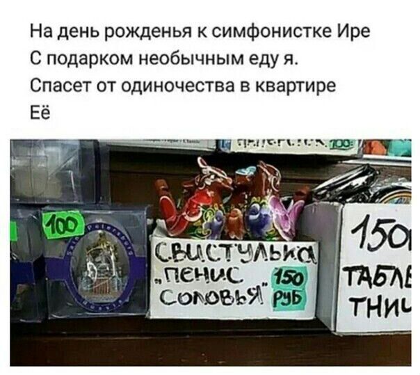 На день рожденья к симфонистке Ире С подарком необычным еду я Спасет от одиночества в квартире