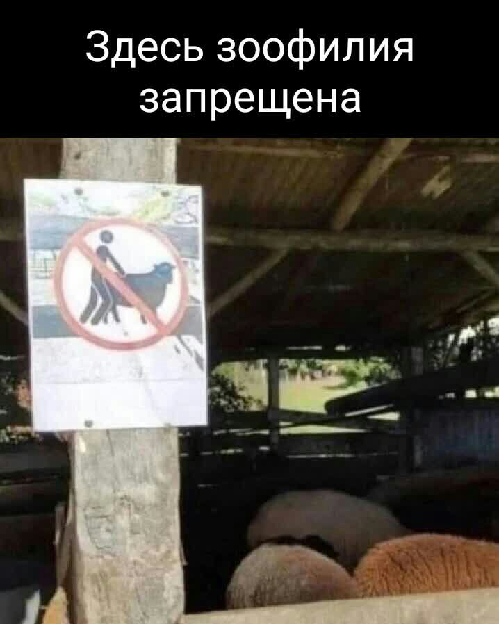 Здесь зоофилия запрещена
