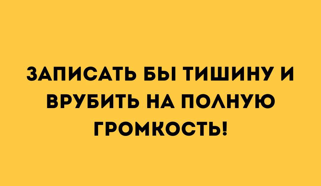 ЗАПИСАТЬ БЫ ТИШИНУ И ВРУБИТЬ НА ПОАНУЮ ГРОМКОСТЫ