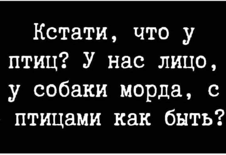 Кстати что у птиц У нас лицо у собаки морда с птицами как быть