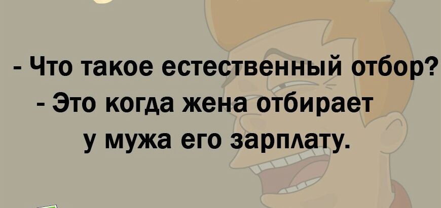 Что такое естественный отбор Это когда жена отбирает у мужа его зарпдату