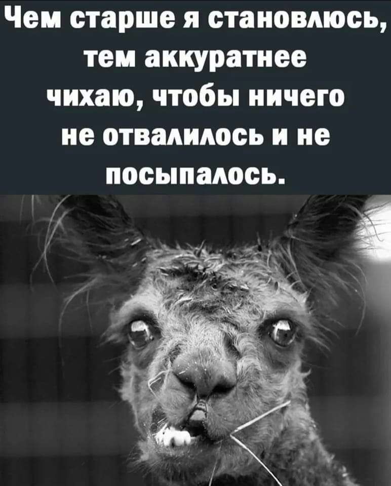 Чем старше я становлюсь тем аккуратнее чихаю чтобы ничего не отвалилось и не посыпаюсь