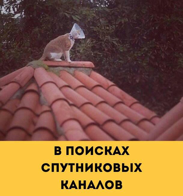 _Е_ 5 дзж З