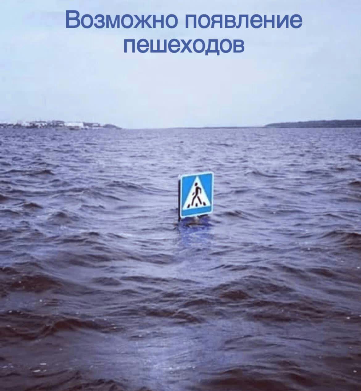 Возможно появление пешеходов