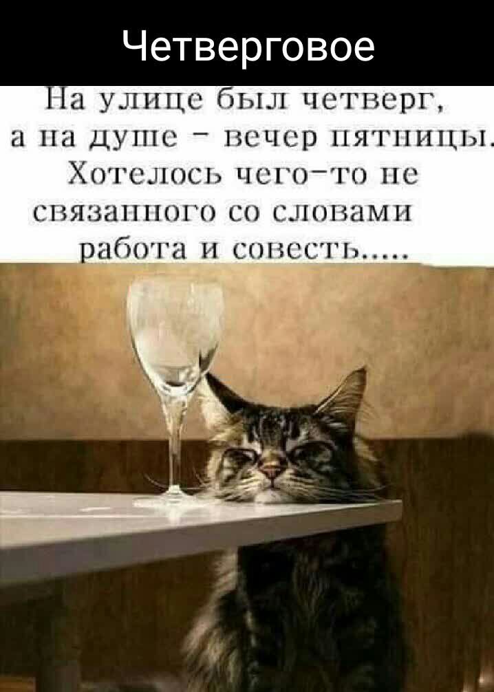 Четверговое 21 УЛНЦО ЬШ ЧСГНСРГ 21 На ДУТПС _ ЁЧСР ПЯГПНЦ ХОГСЛОСЬ ЧСГОТО ПС ГНЯВНППОП СО ЛКНШМП 160111 И ЗОНЕ