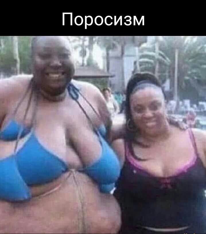 Поросизм ін ги