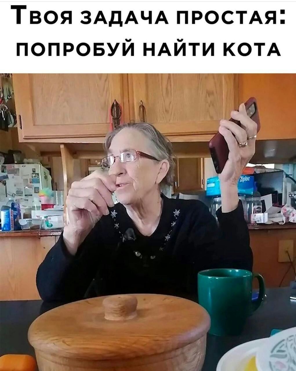 Твоя ЗАДАЧА просмя попровуй НАЙТИ КОТА