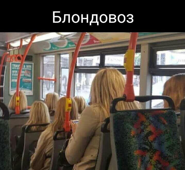 Блондовоз оМЫ