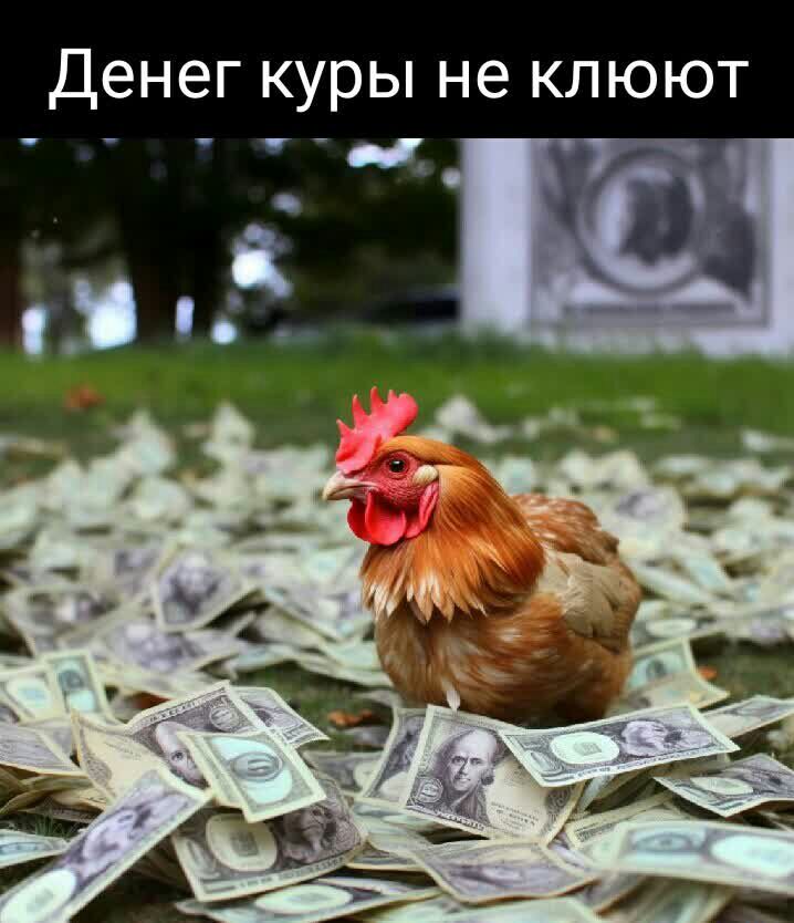 Денег куры не КЛЮЮТ