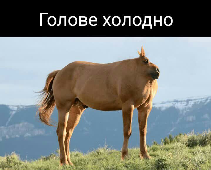 Голове холодно Ё і