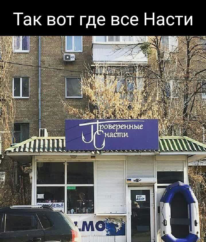 Так вот где все Насти