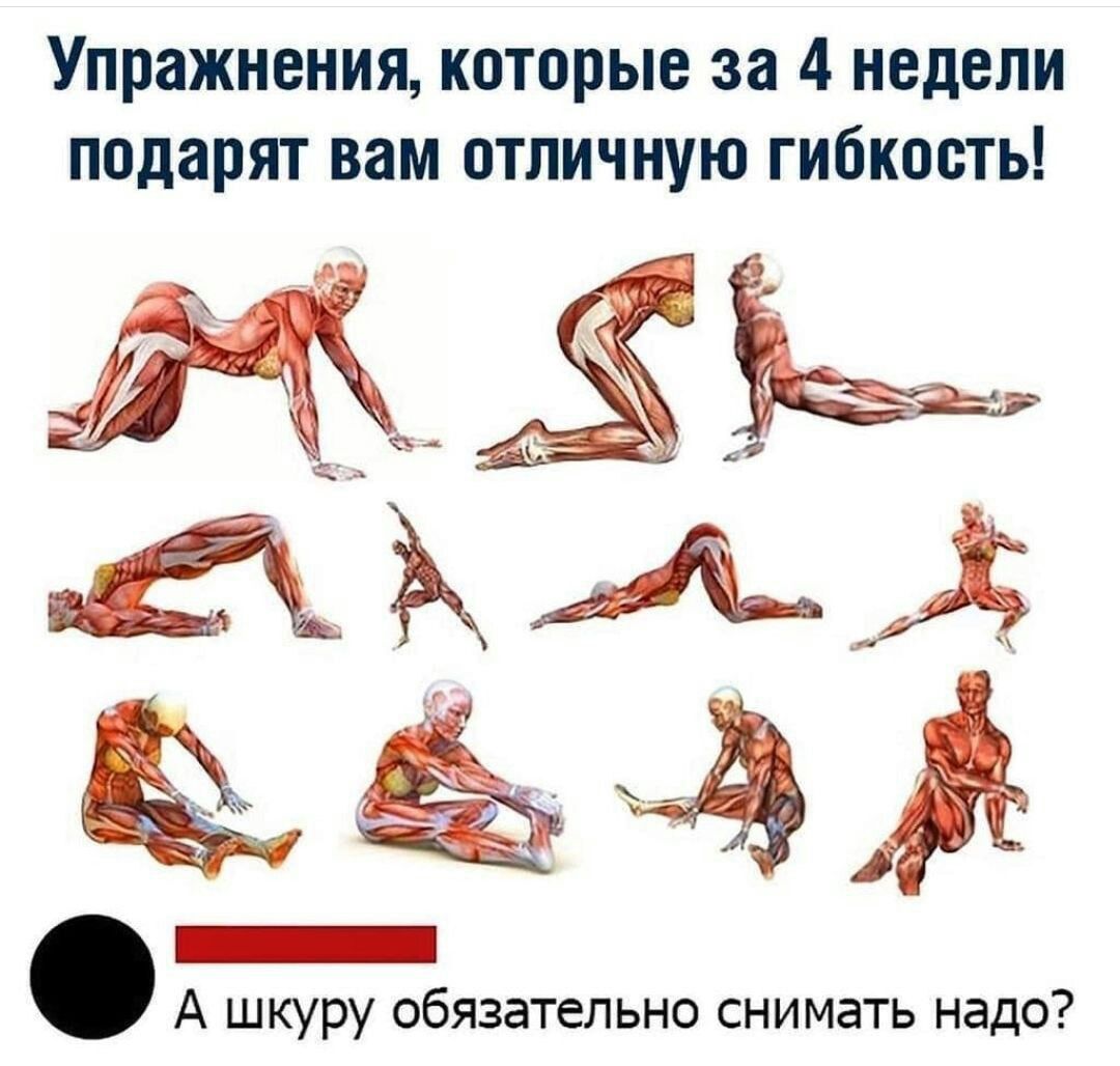 Упражнения которые за 4 недели подарят вам отличную гибкость г А А шкуру обязательно снимать надо