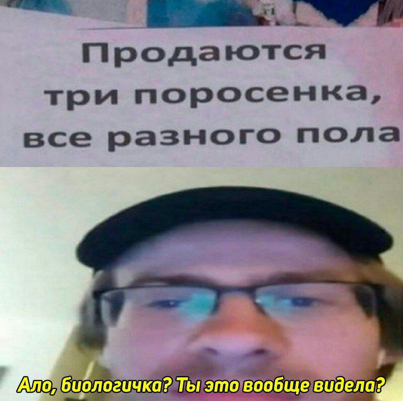 ___ Продаются три поросенка все разного пола ЁЁП