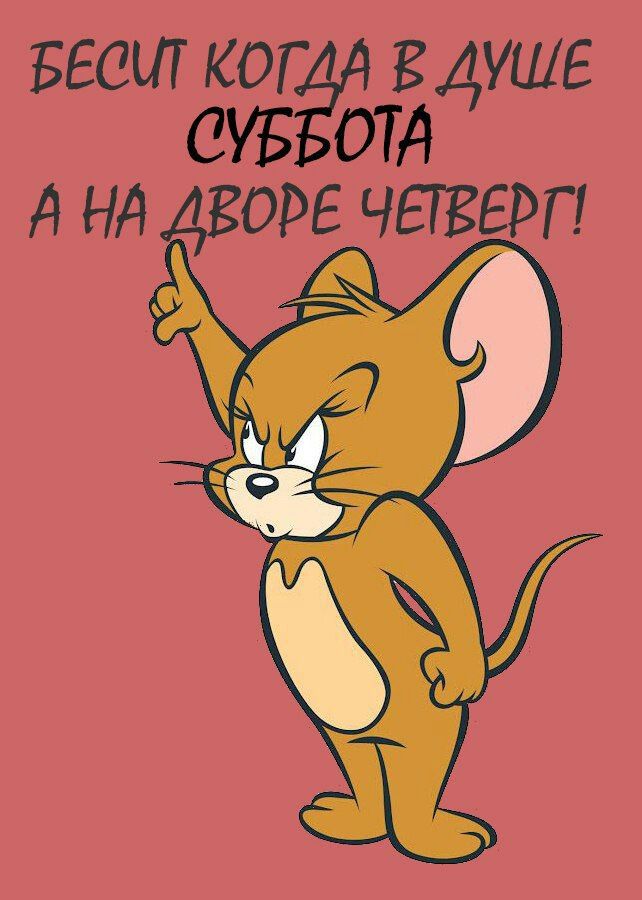 веси ког гдэше С от А нд орг чаверп