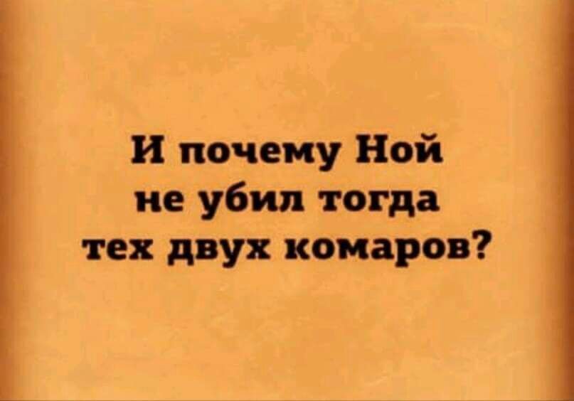 и почему Ной не убил тогда тех двух комаров