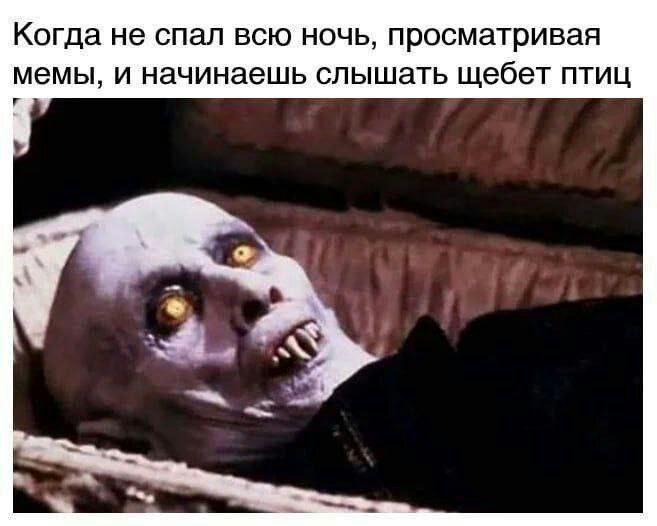 КОГДЗ не спал ВСЮ НОЧЬ просматривая МЭМЫ И НЗЧИНЗЭШЬ СЛЫШЗТЬ щебет ПТИЦ