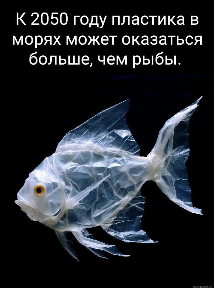 К 2050 году пластика в морях может оказаться больше чем рыбы
