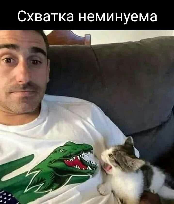 СХВЭТКЭ неминуема