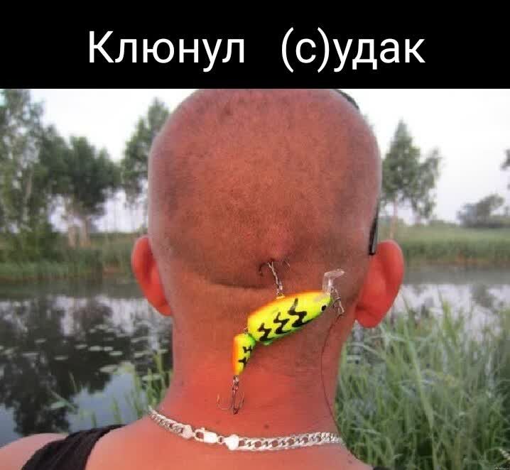 Кл юнул судак