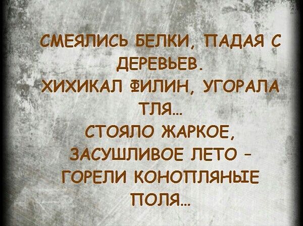 3Ейіисъ Белки ттАдАя с _ дЕРЕВЬЕВ _ _тихиюал ФИЛИН угомш тля _сгояло ЖАРКОЕ _ Асушпивов лето Горели конопляныв поля