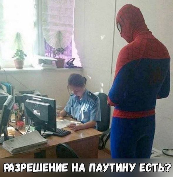 РАЗРЕШЕНИЕ НА ПАУТИНУ ЕСПЬд