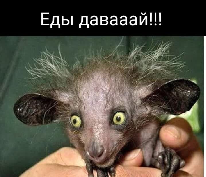 Еды давааай