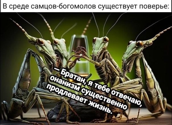 В среде самцшвгбогомопов существует поверье