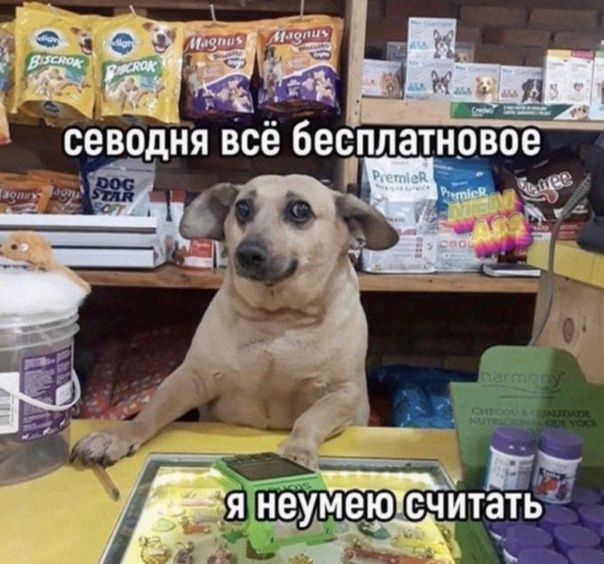 севодня ВСЁ Бесплатновое 1