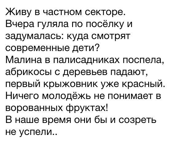 Живу в частном секторе Вчера гуляла по посёлку и задумалась куда смотрят современные дети Малина в палисадниках поспела абрикосы деревьев падают первый крыжовник уже красный Ничего молодёжь не понимает в ворованных фруктах В наше время они бы и созреть не успели