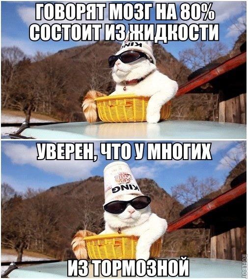 ЖОПОВОРАТМОЗПНА 8070 СОСТОИтИЗИДКОСТИ