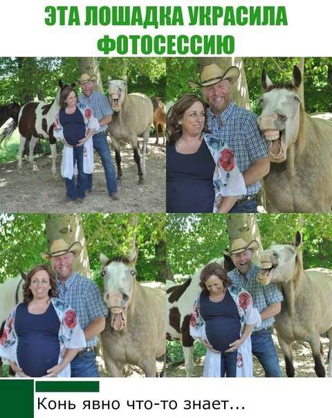 эти пошдднпипсим Фотпсюсию КОНЬ ЯВНО ЧТО ТО ЗНЗЕТ