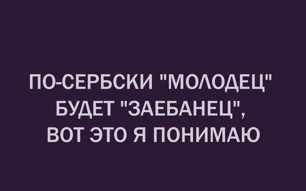 ПО СЕРБСКИ МОАОДЕЦ БУДЕТ ЗАЕБАНЕЦ ВОТ ЭТО Я ПОНИМАЮ