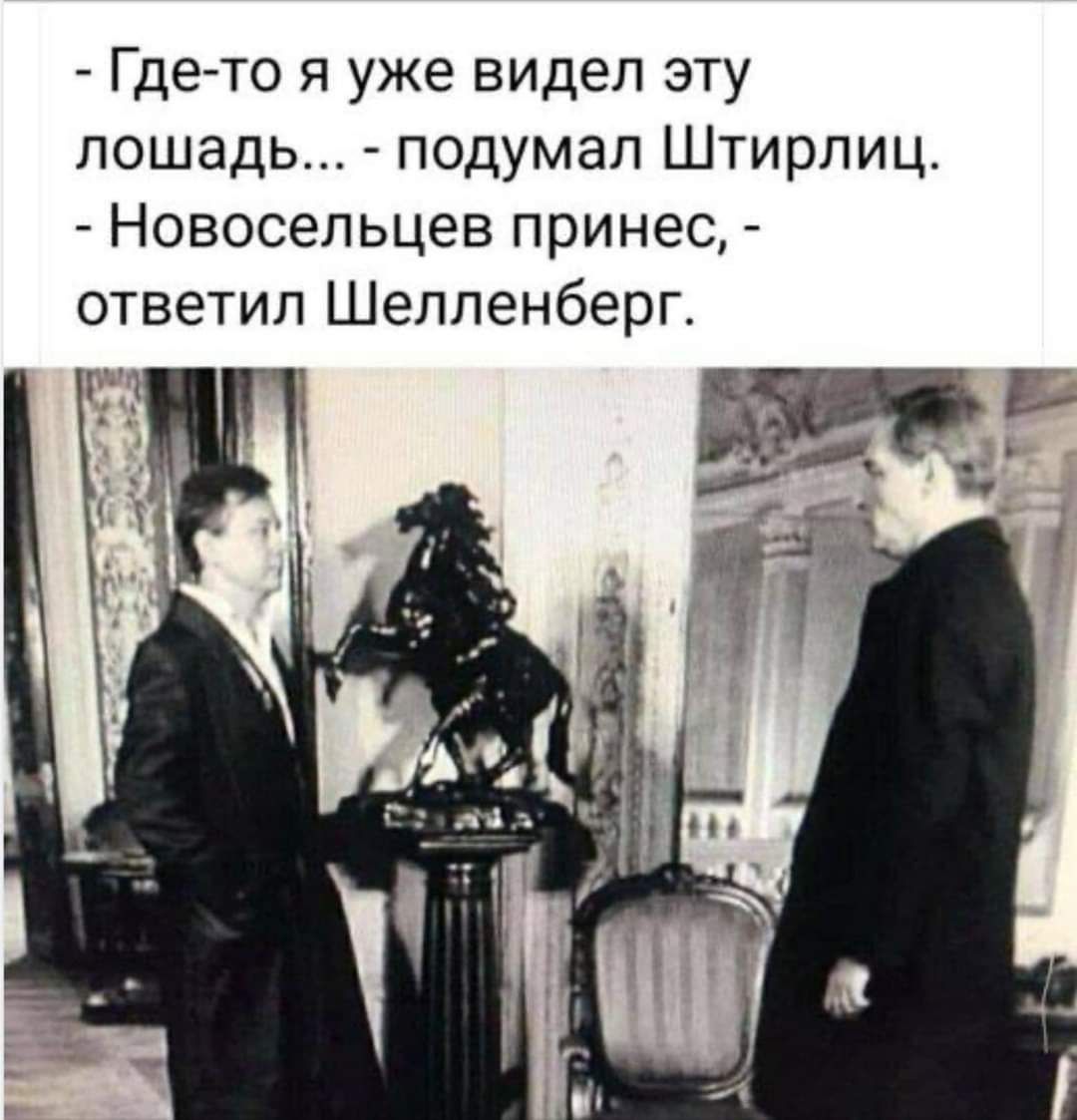 Где то я уже видел эту лошадь подумал Штирлиц Новосельцев принес ответил Шелленберг