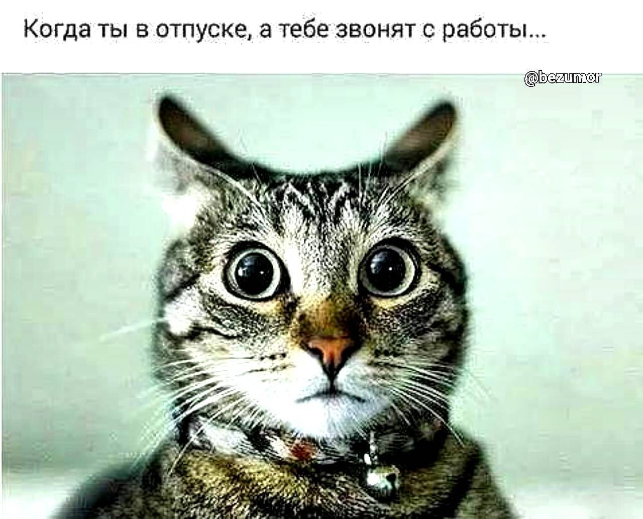 Когда ты в отпуске а тебе звоият с работы атм