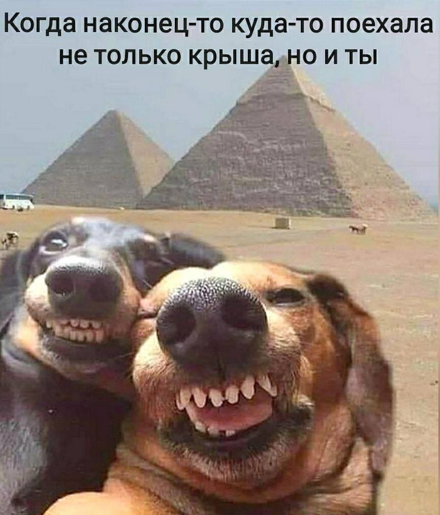 КОГДЗ НЗКОНеЦ ТО куда то Поехала не ТОЛЬКО крыша НО И ТЫ
