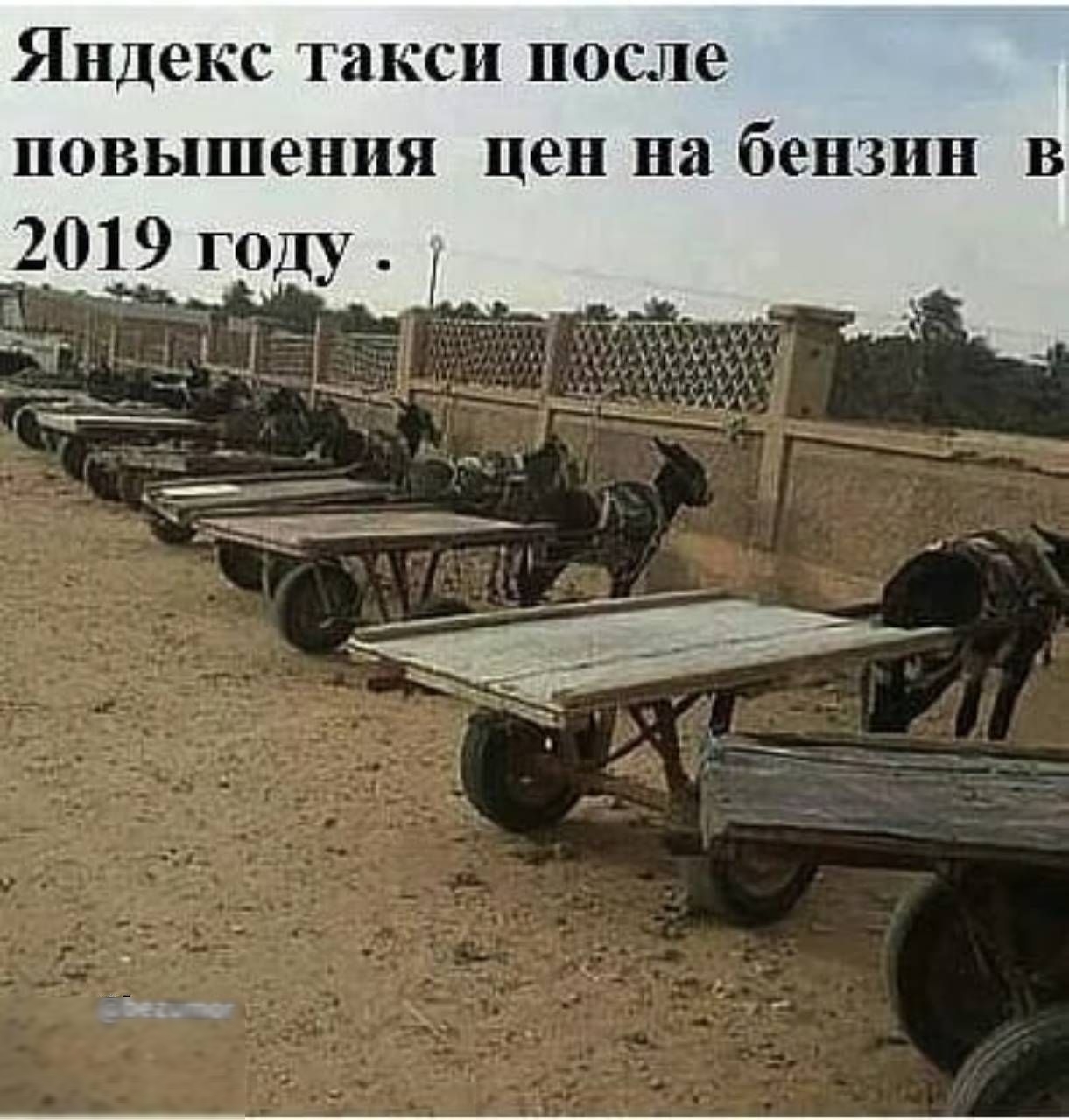 Яндекс такси после повышения цен на бензин в 2019 году