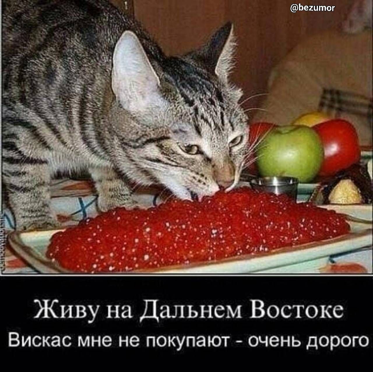 Живу на Дальнем Востоке ВИСКЭС мне не ПОКУПЗЮТ очень дорого