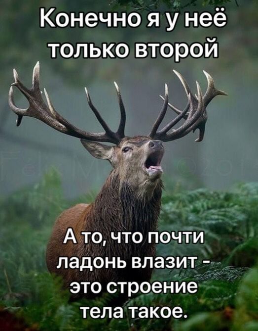 Конечно я у неё только второй И А то что почти ладонь влазит это строение тела такое