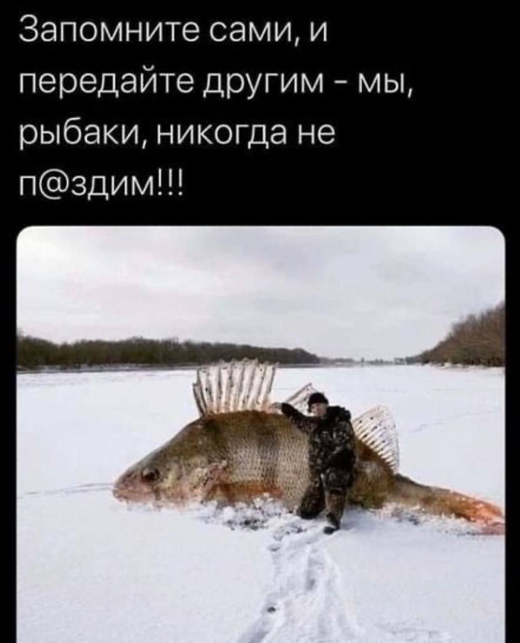 Запомните сами и передайте дрУгим мы рыбаки никогда не пздим