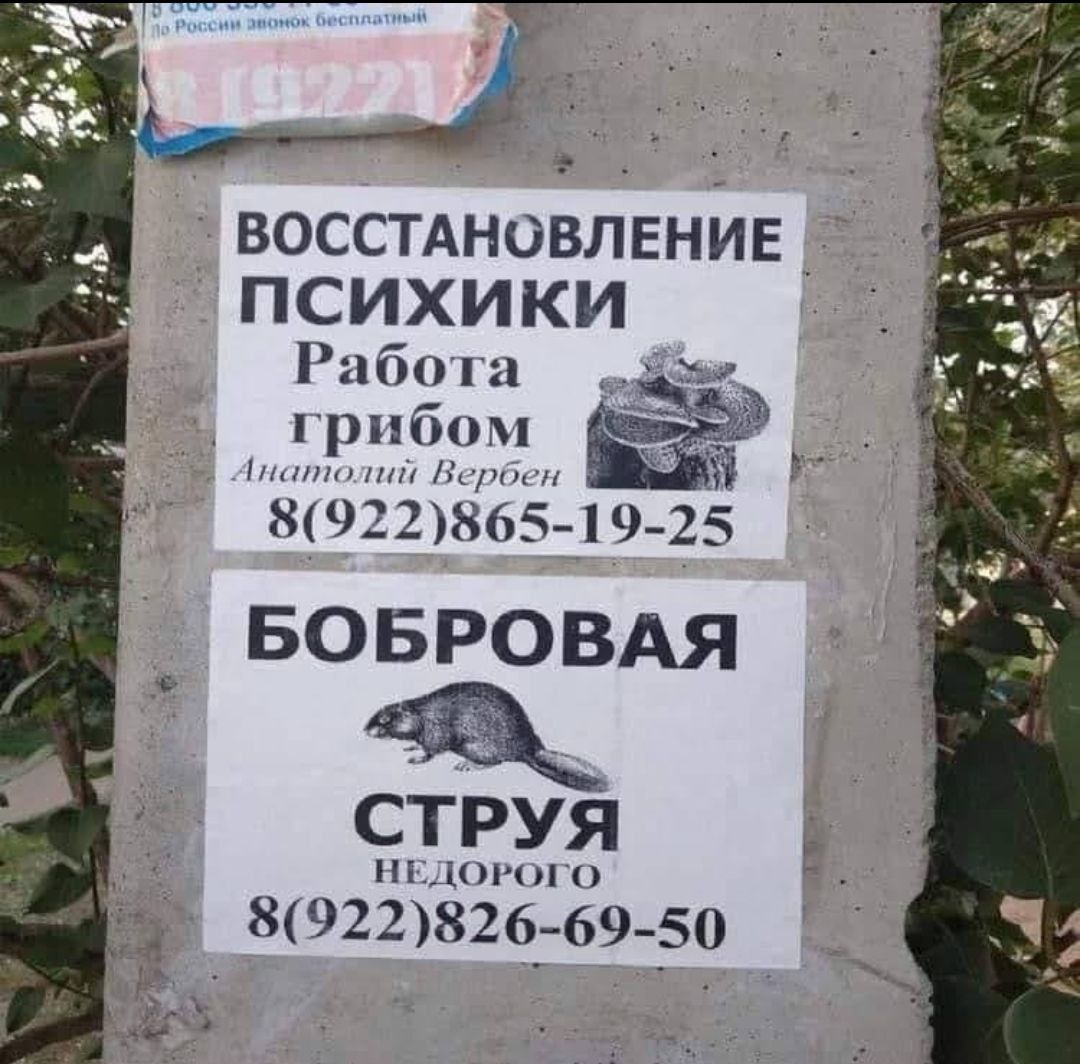 восстдновлвнйв психики Риби шбом Ъ тг х922хь5 19 25 БОБРОВАЯ Струя ип кпп 8922 326 6950