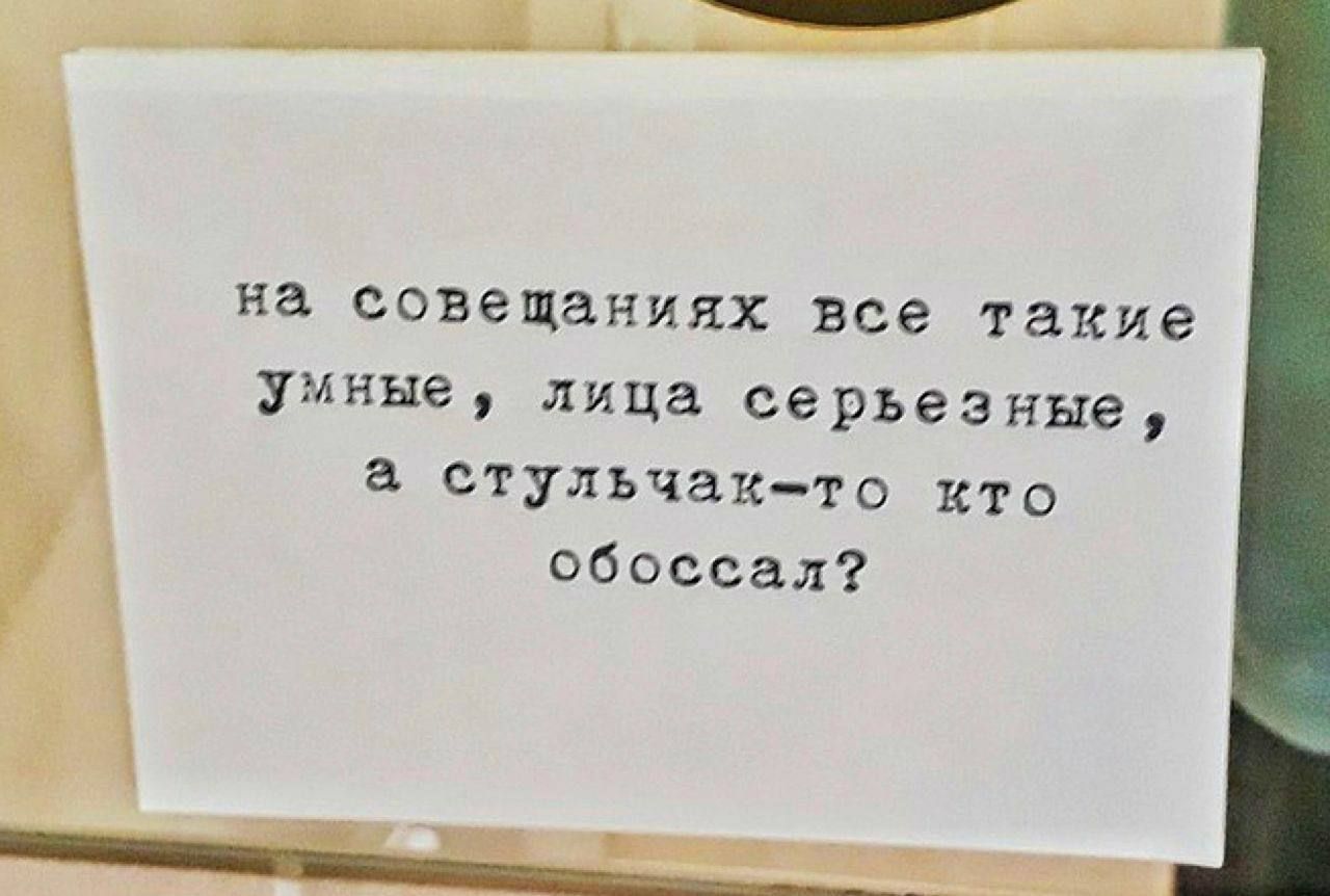 на совещаниях все такие умные лица серьезные а стульчакто кто обоссал _______