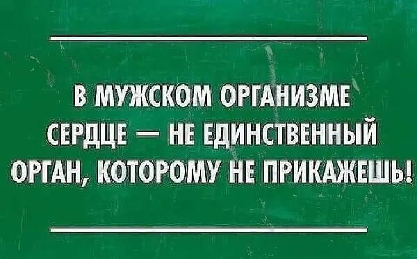 В МУЖСКОМ ОРГАНИЗМЕ СЕРДЦЕ НЕ ЕДИНСТВЕННЫЙ ОРГАН КОТОРОМУ НЕ ПРНКАЖЕШЫ