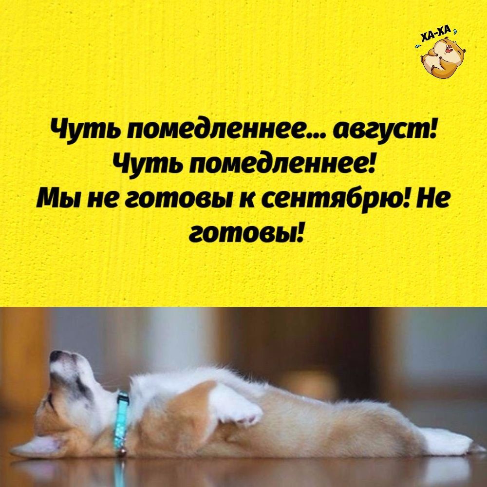 хиппи