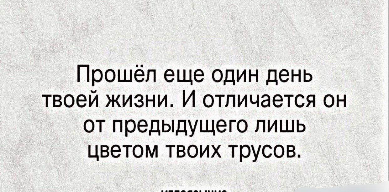 Прошёл еще один день твоей жизни И отличается он от предыдущего лишь цветом твоих трусов