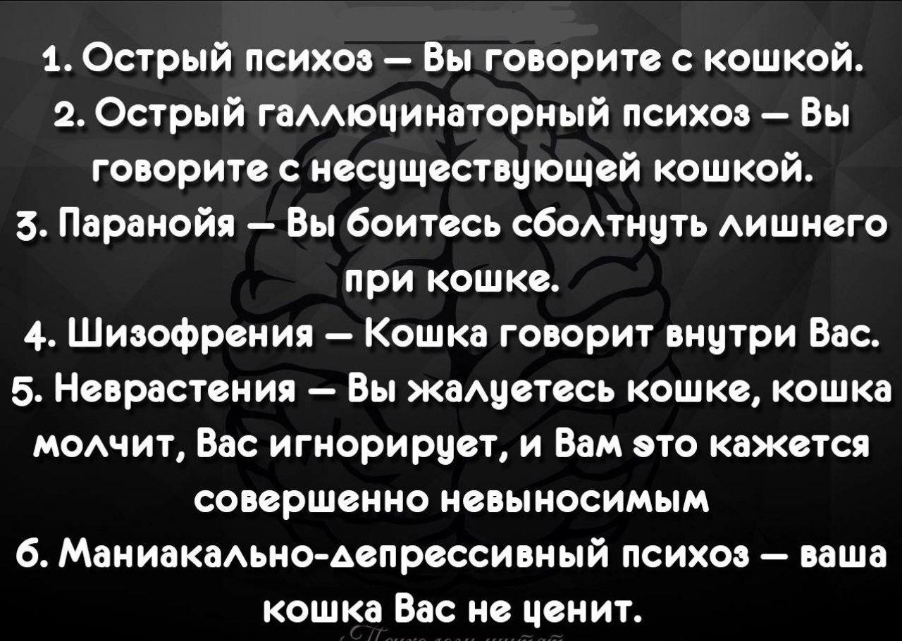 1 Острый психов Вы говорите кошкой 2 Острый гаААюцииаториый психов Вы говорит иссищсствиющсй кошкой 5 Паранойя Вы боитесь сбомиить Аишивго при кошки 4 Шивофрсиип Кошка говорит внутри Вас 5 Ноараствиия Вы жмиствсь кошка кошка модчит Вас игиориривт и Вам это кажется соавршвино невыносимым б Маниакмьио Аспрвссивиый психов ваша кошка Вас по ценит