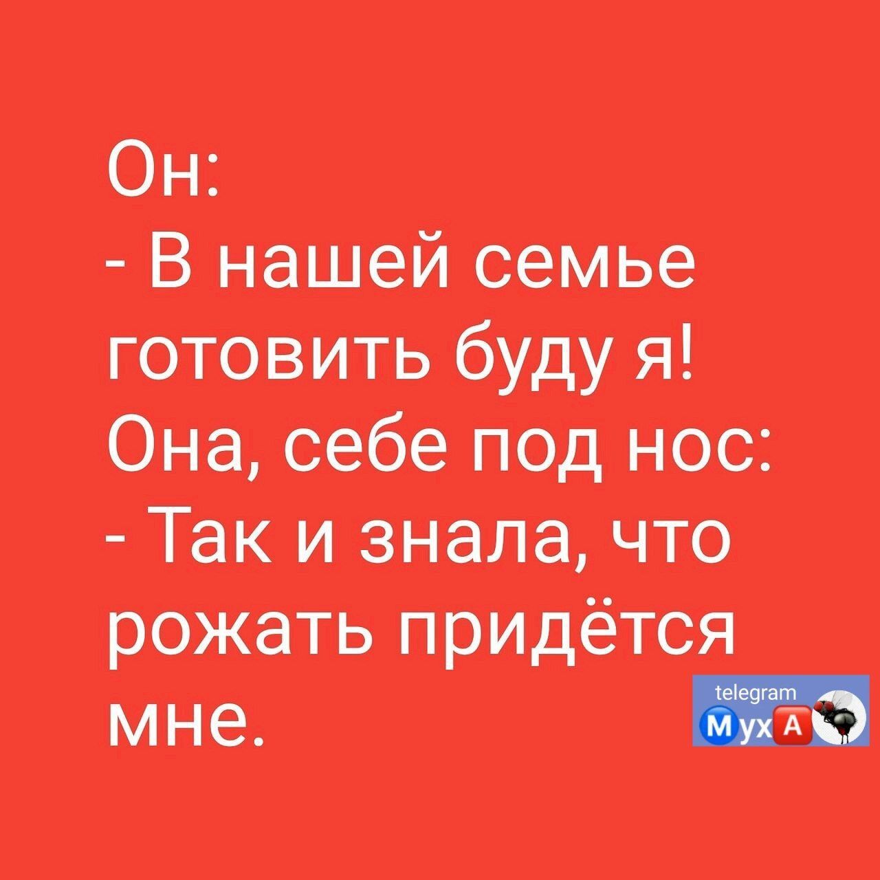 Он В нашей семье готовить буду и Она себе под нос Так и знала что рожать придётся мне