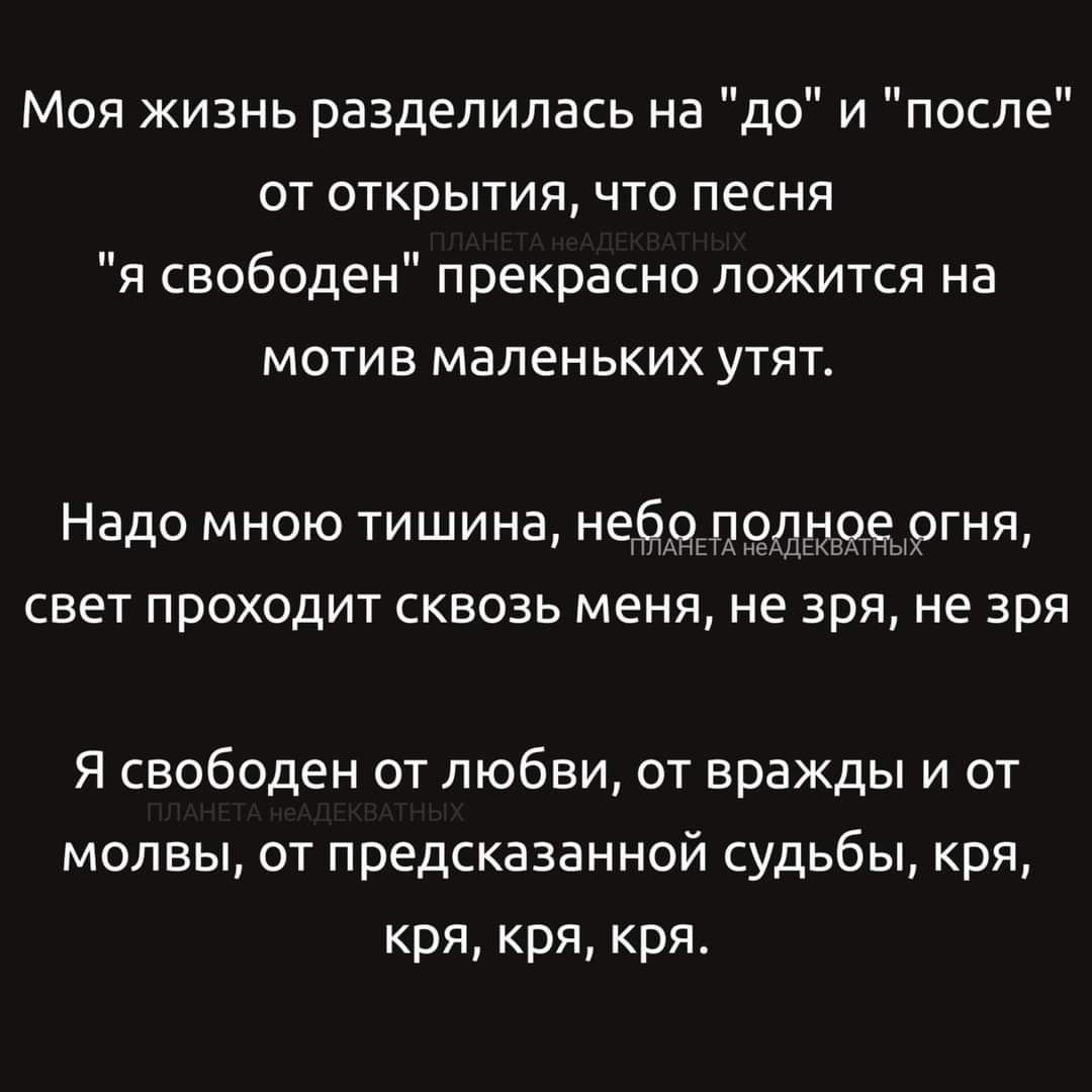 Моя жизнь разделилась на до и после от открытия что песня Я свободен прекрасно ложится на мотив маленьких утят Надо мною тишина небоподное огня свет проходит сквозь меня не зря не зря Я свободен от любви от вражды и от молвы от предсказанной судьбы кря кря кря кря