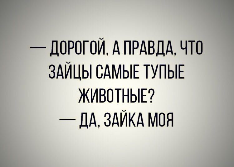 _ дПРПГОЙ А ПРАВДА ЧТО ЗАЙЦЫ САМЫЕ ТУПЫЕ ЖИВОТНЫЕ _ дд ЗАЙКА МОЯ