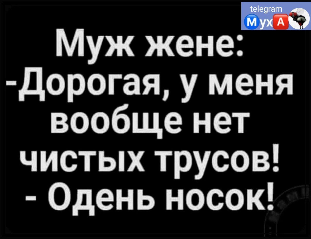 Муж женещ дорогая у меня вообще нет чистых трусов Одень носок